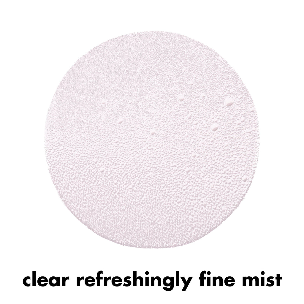 E.l.f. Cosmetics Power Grip Rosé Setting Spray