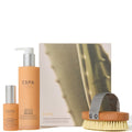 Gradual Golden Glow Collection