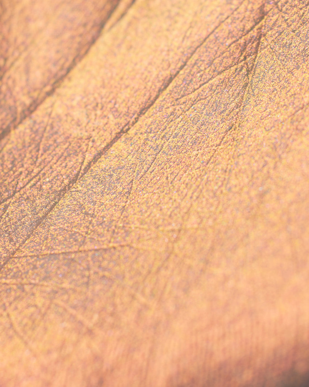 Midsummer Fairytales Liquid Highlighter (Multichrome)