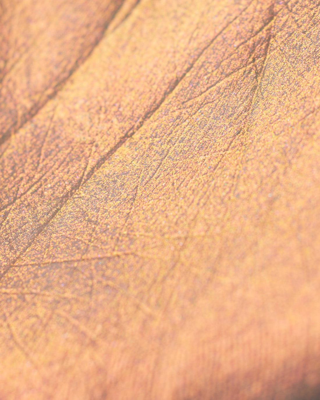 Midsummer Fairytales Liquid Highlighter (Multichrome)
