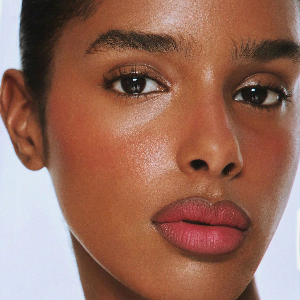 Plumping Powder Matte Lip