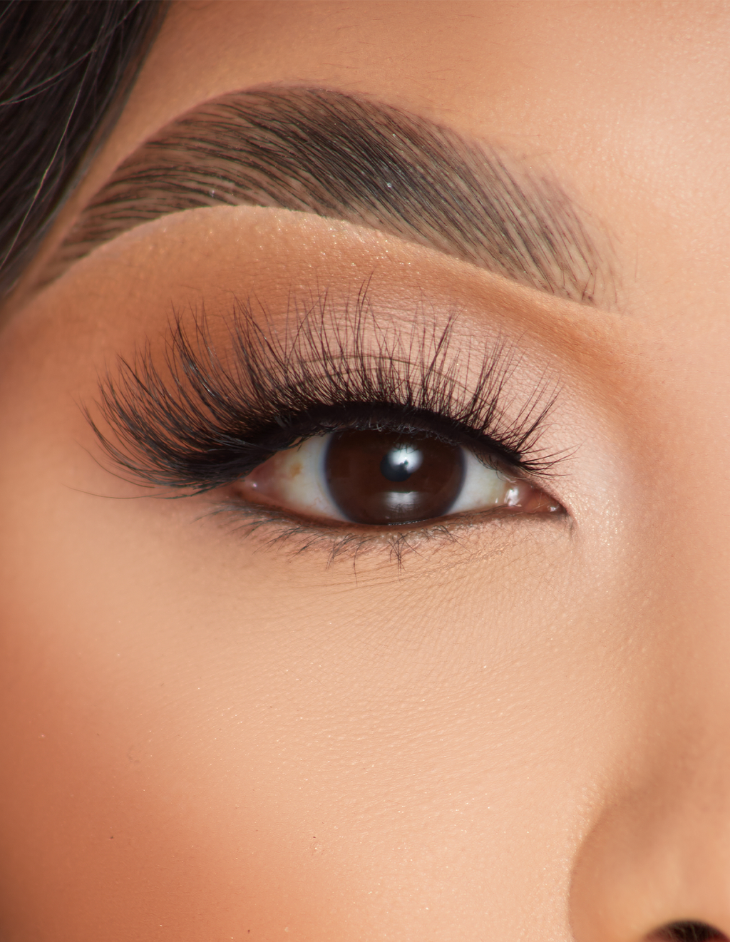 Foxy Flicks False Lashes by P. Louise Cosmetics