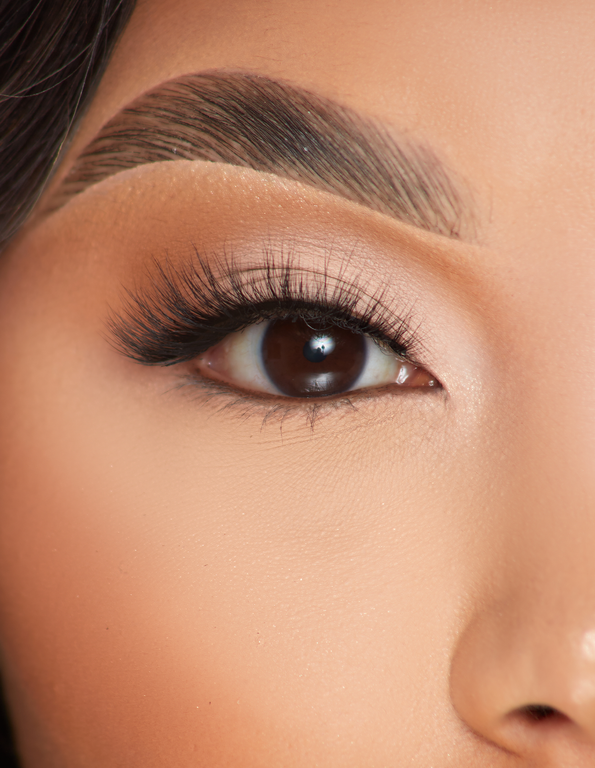 Taste Of Tease False Lashes by P. Louise Cosmetics