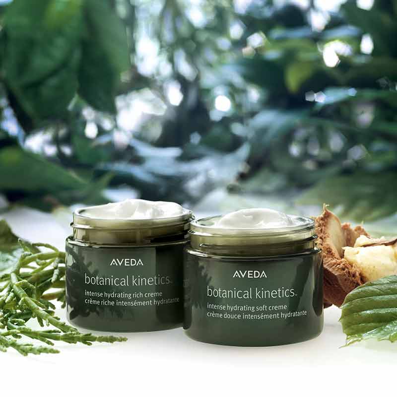Botanical Kinetics Hydrating Water Gel Creme by Aveda