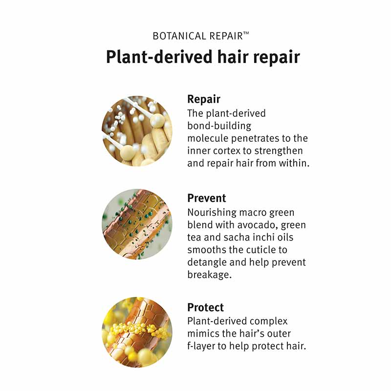 Botanical Repair Strengthening Overnight Serum by Aveda