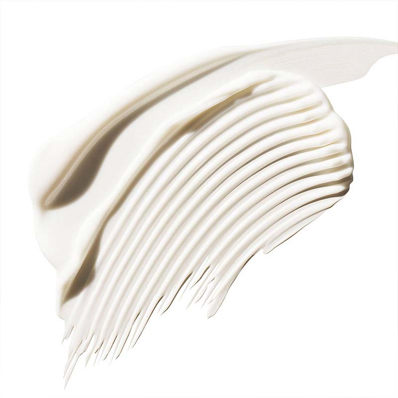 Color Control Leave In Treatment Rich by Aveda