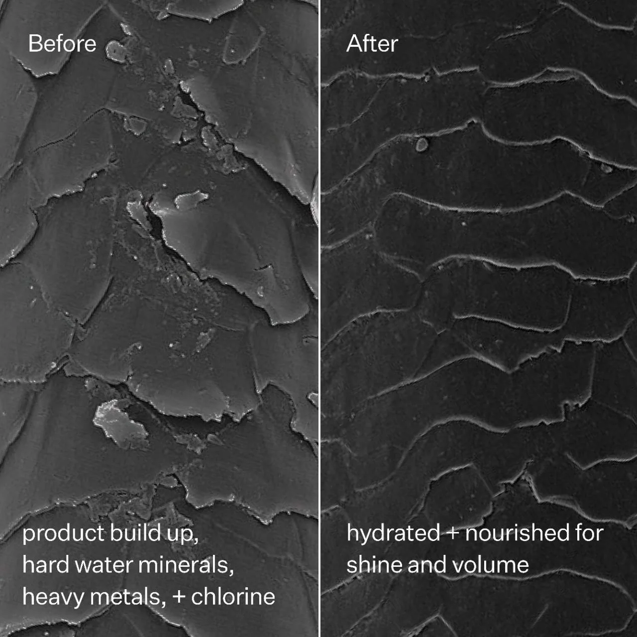 Act+Acre Clarifying Hard Water Shampoo