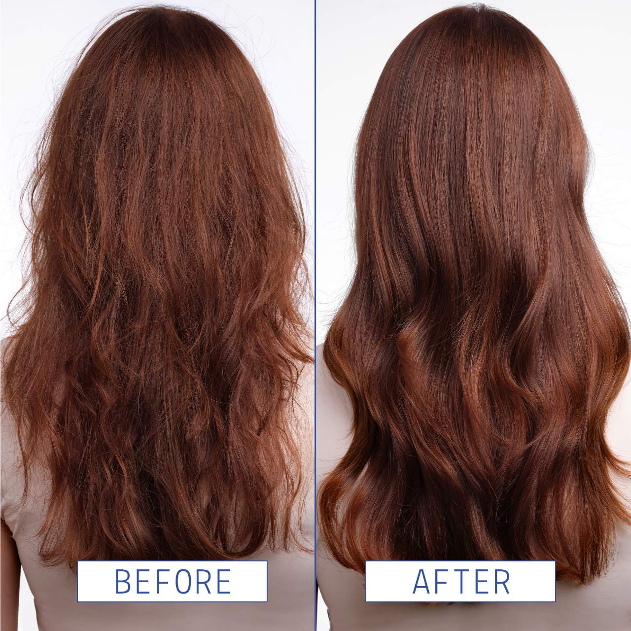 AAVRANI Hair and Scalp Recovery Pre-Wash Oil for Strengthening and Frizz Control