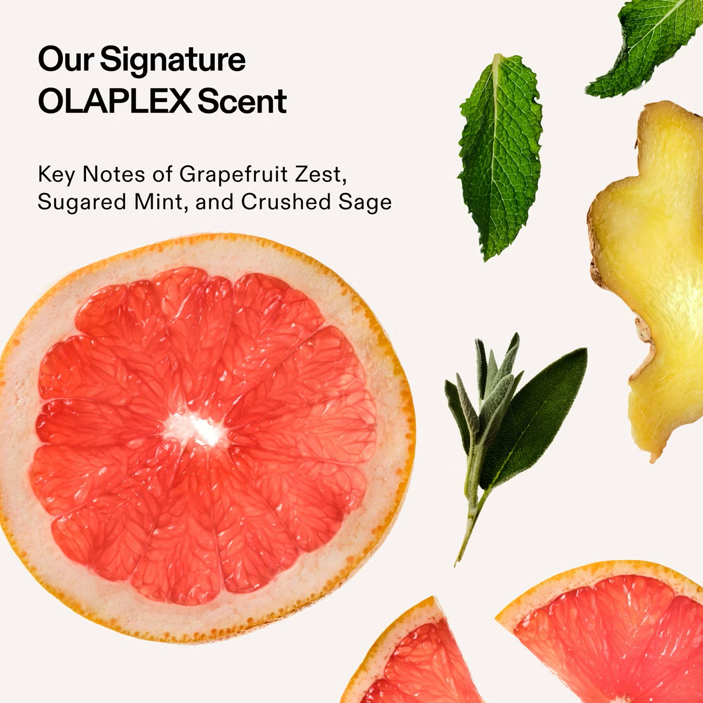Olaplex Signature Hair & Body Mist