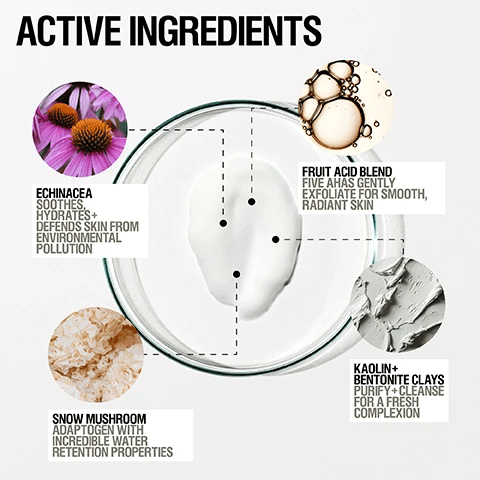 Grown Alchemist Skin Renewal Mask Echinacea + Kaolin 75ml