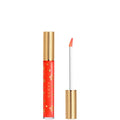 Gucci Beauty Gloss à Lèvres Plumping Lip Gloss 6.5ml (Various Shades)