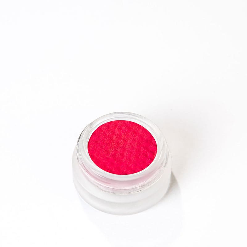 Precision Paint by KASH Beauty