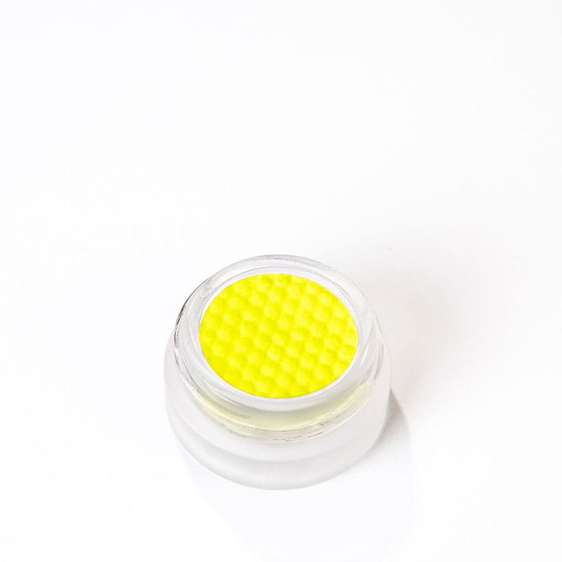 Precision Paint by KASH Beauty