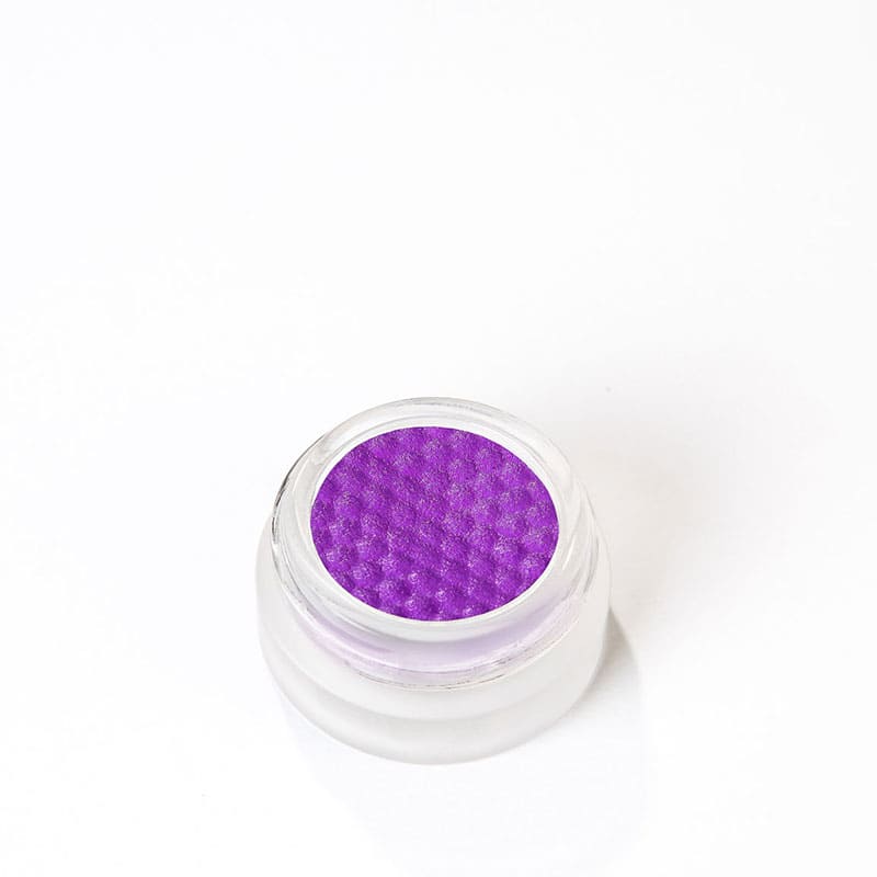 Precision Paint by KASH Beauty