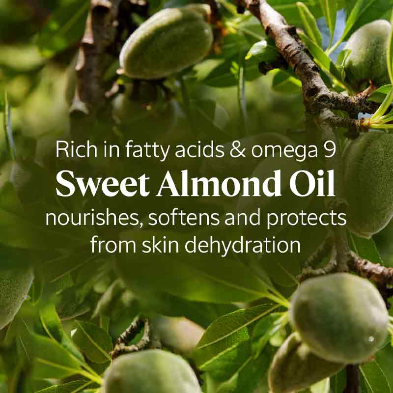 Almond Delicious Hand Cream by L'OCCITANE