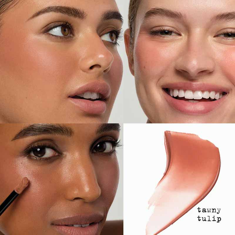 Convertible Color Liqua-Tint by Stila