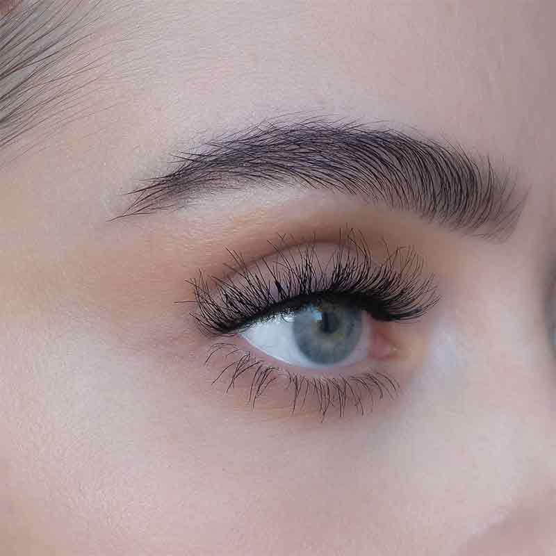 Ash 3D Lashes by SWEED