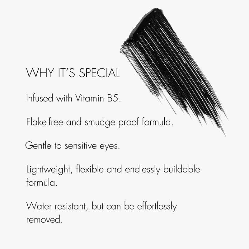 Pro Lash Lift Mascara